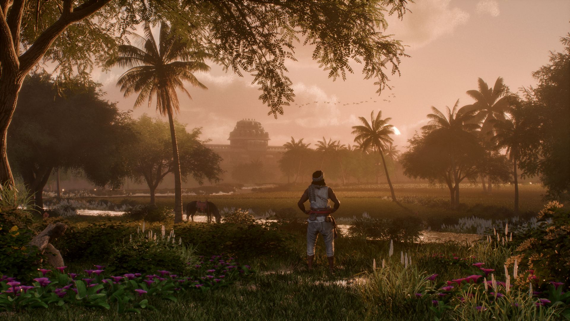 The Kaveri farmlands at golden hour
