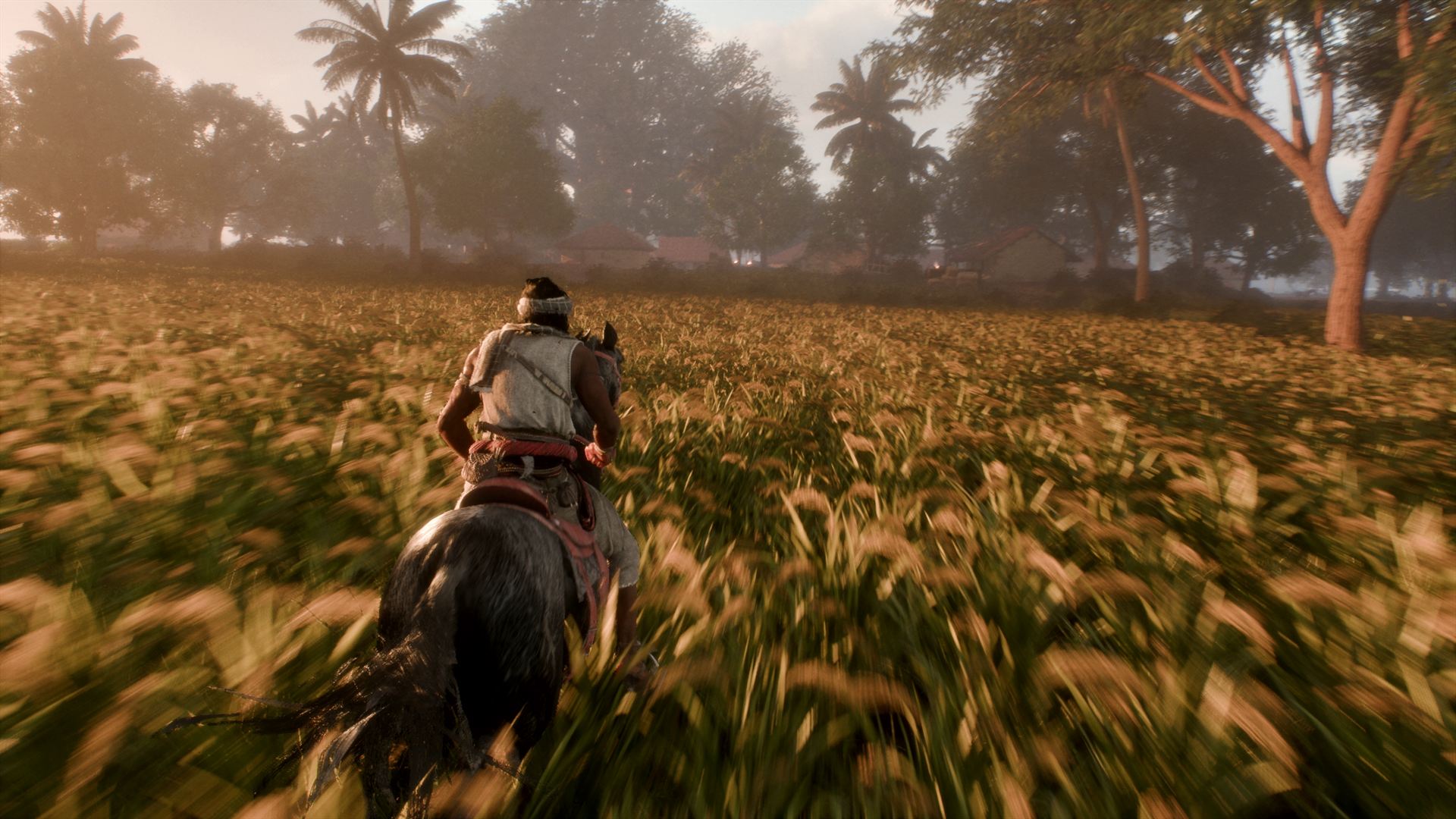 Riding the open road